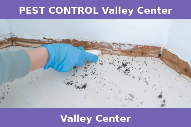 PEST CONTROL Valley Center